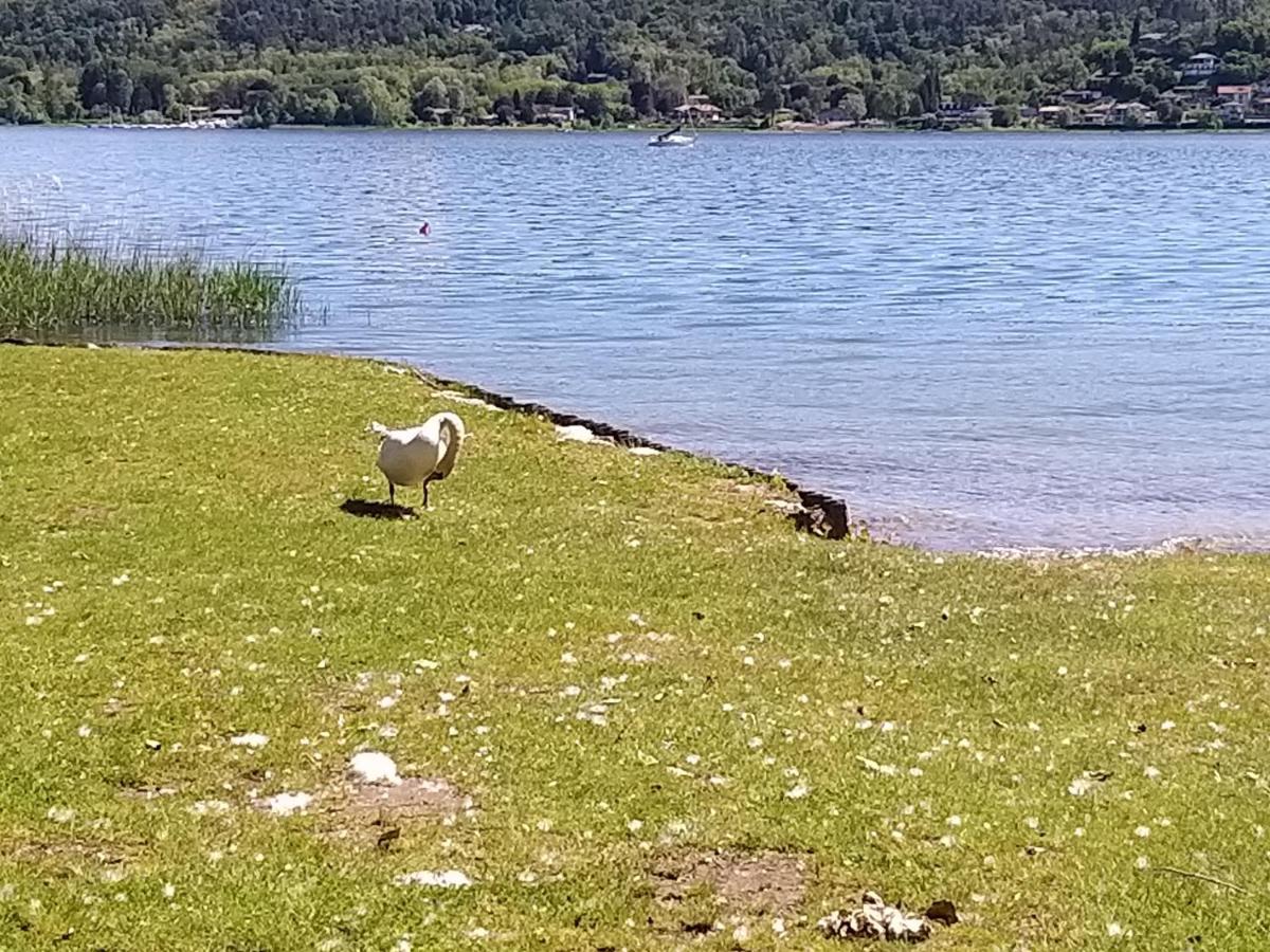 Ritratto Sul Lago Dormelletto Buitenkant foto