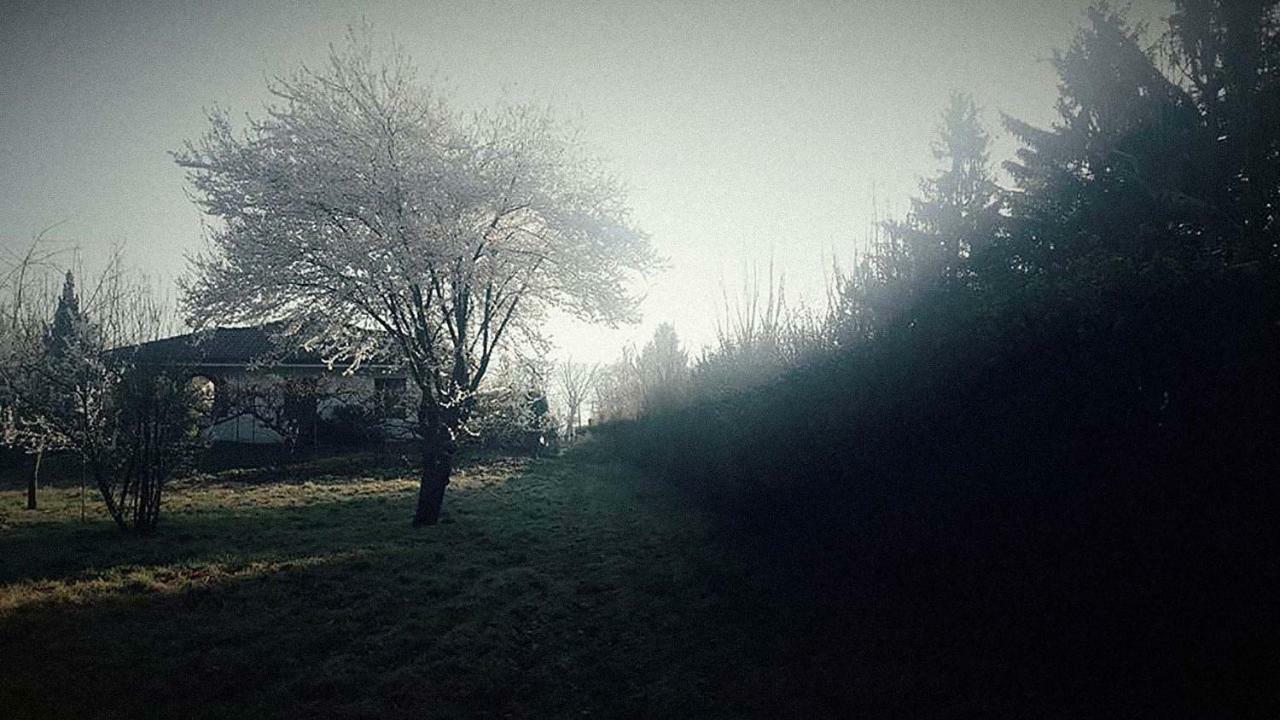 Ritratto Sul Lago Dormelletto Buitenkant foto