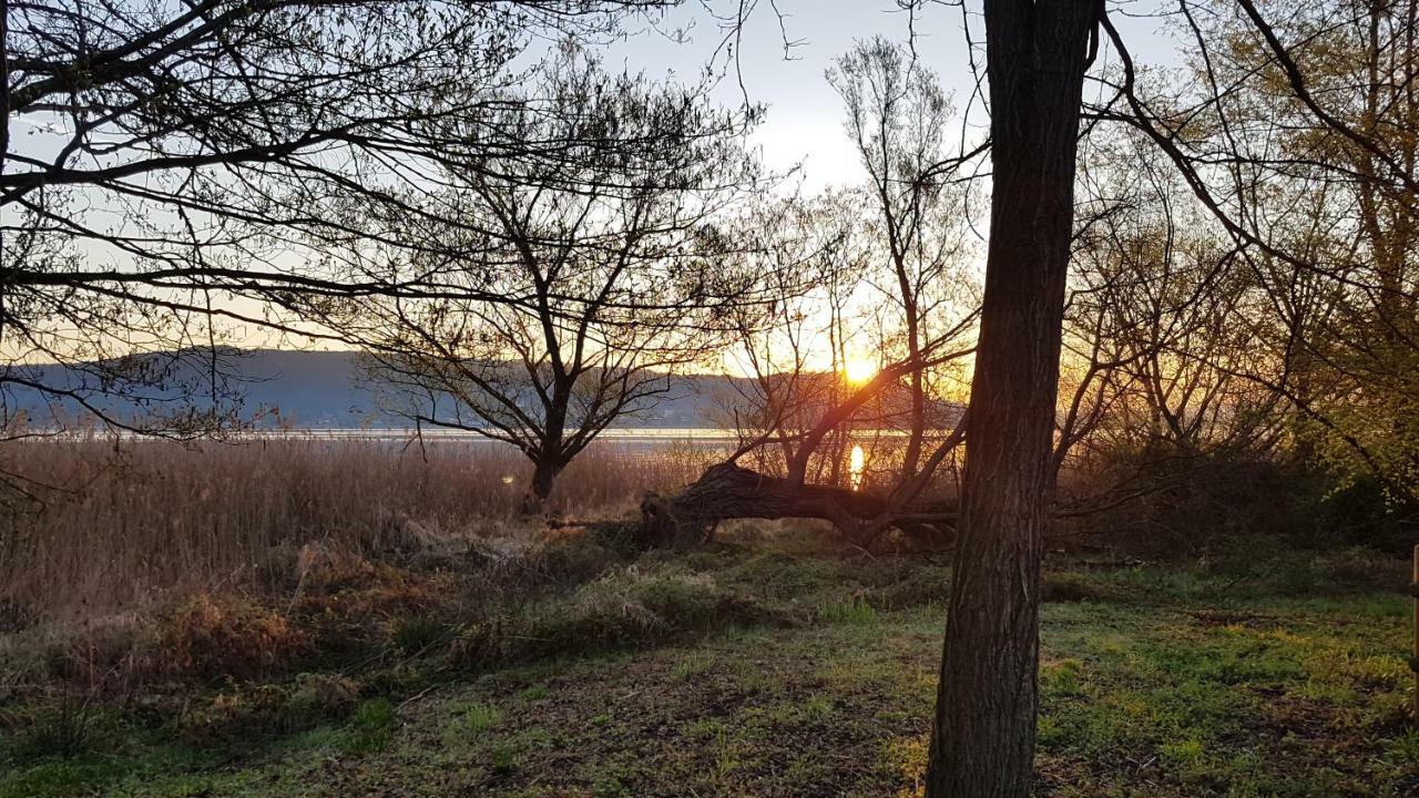 Ritratto Sul Lago Dormelletto Buitenkant foto